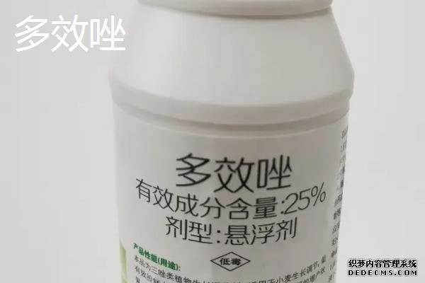 花生种植方法